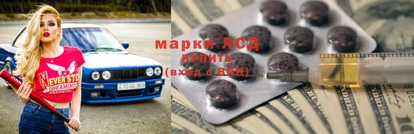 спиды Чекалин