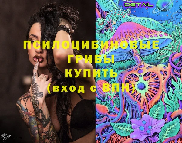 МДМА Заводоуковск