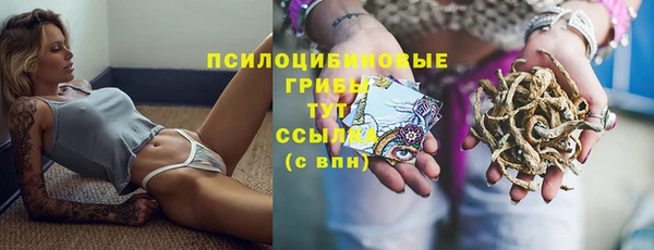 трава Чегем