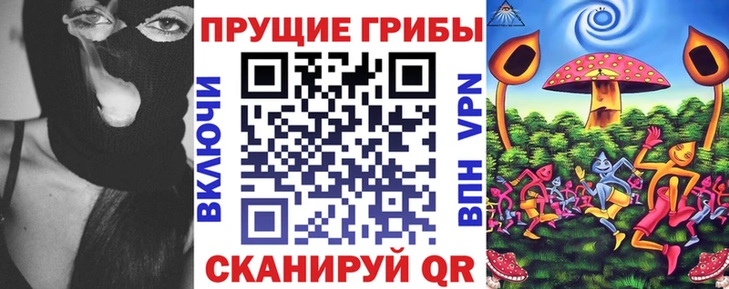 Галлюциногенные грибы MAGIC MUSHROOMS  MEGA ССЫЛКА  Сунжа 
