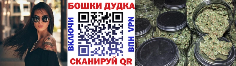 Марихуана гибрид Сунжа